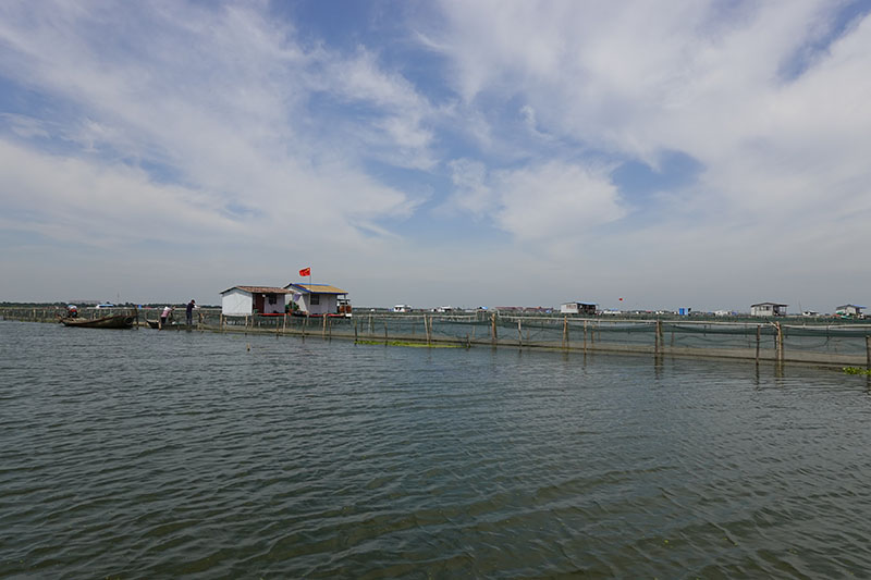 阳澄湖