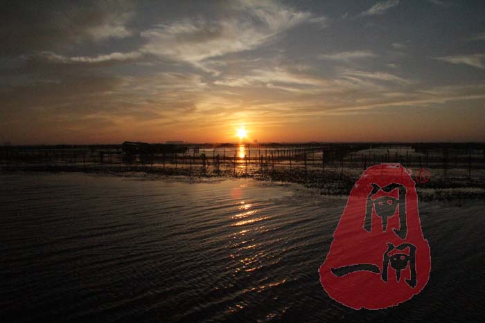 阳澄湖大闸蟹养殖场风景
