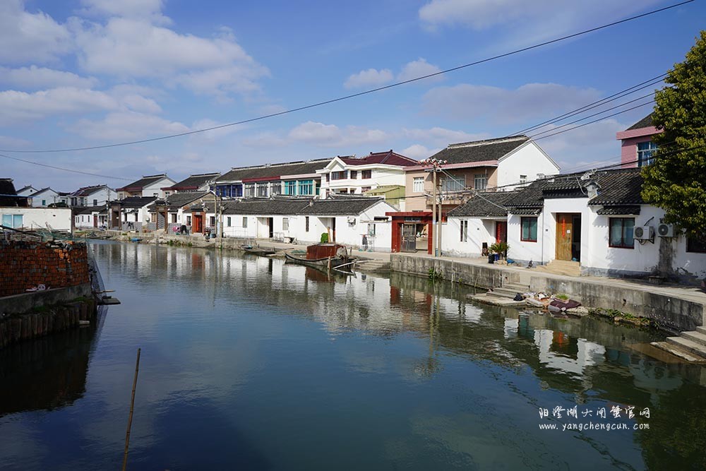 美人腿上的清水村