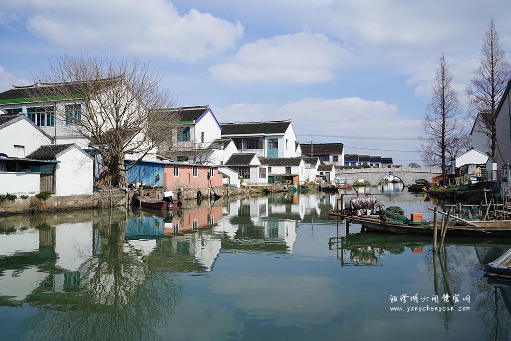 美人腿上的清水村