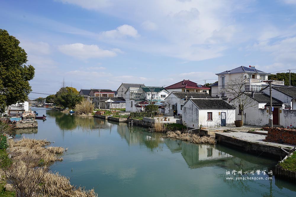 美人腿上的清水村