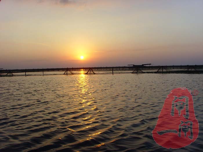 阳澄湖的早晨