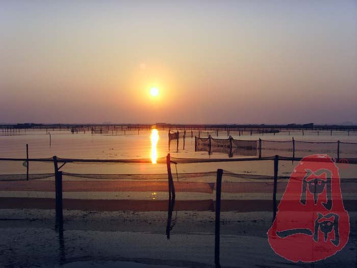 阳澄湖的早晨