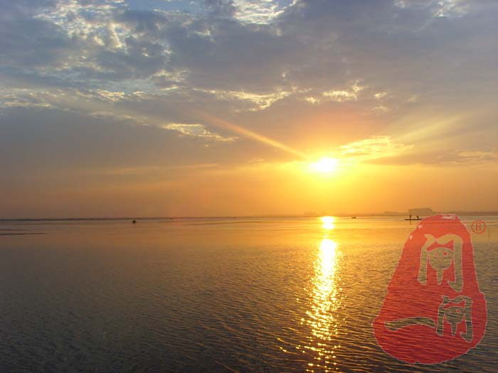 阳澄湖的早晨