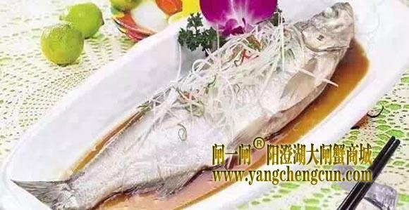 白鱼