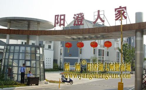 来一场说走就走的品蟹之旅