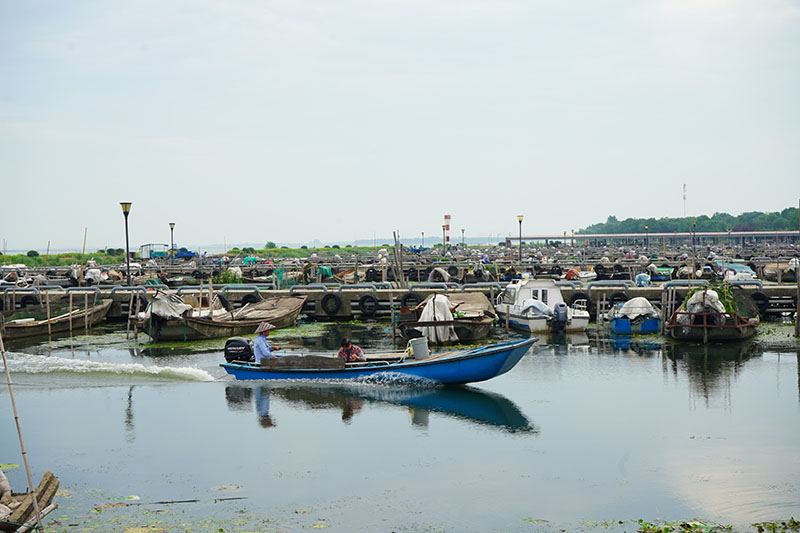 阳澄湖蟹农