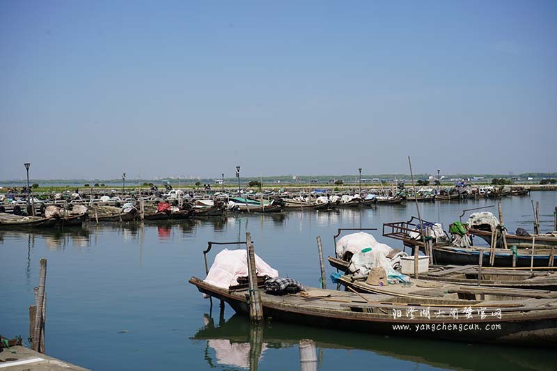 阳澄湖蟹农码头