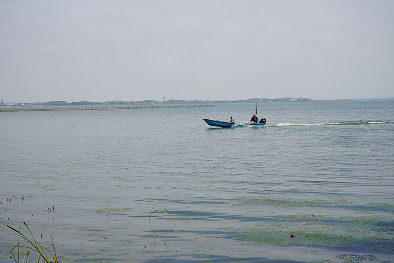 阳澄湖
