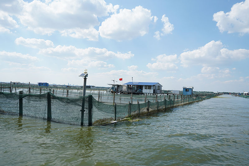 阳澄湖