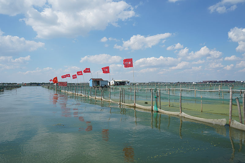 阳澄湖