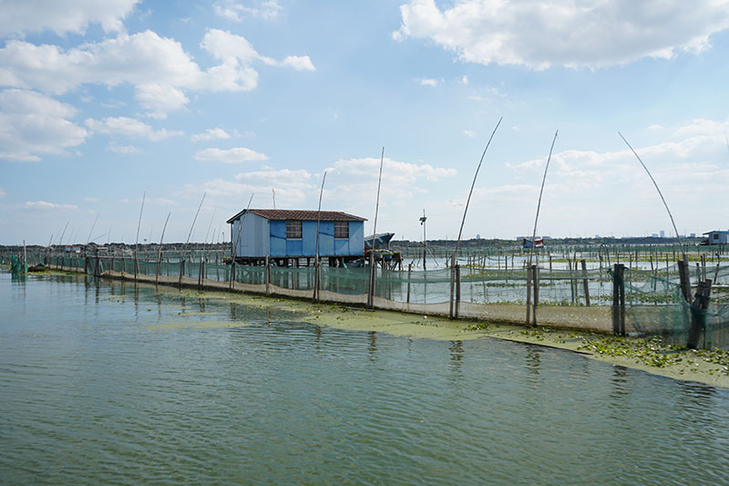 阳澄湖