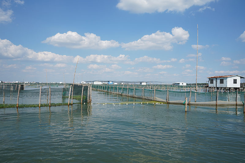阳澄湖