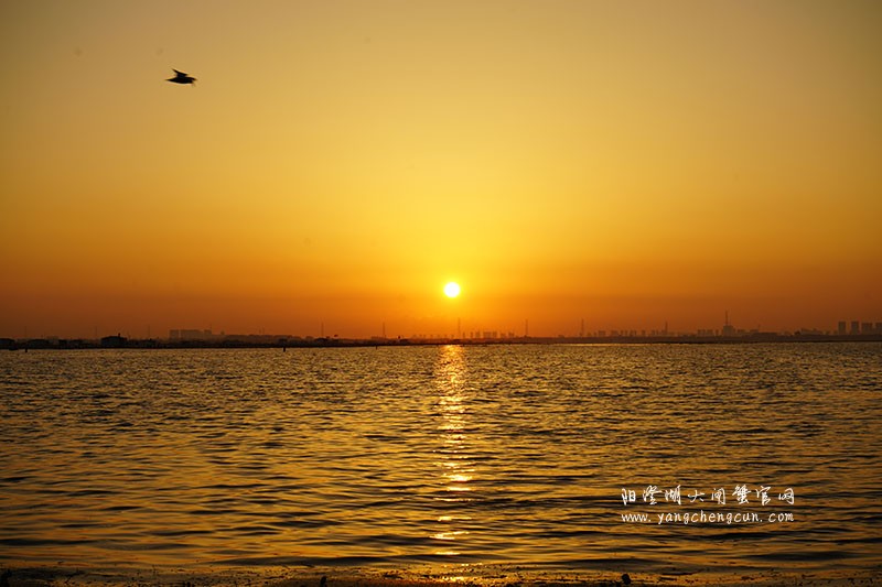 阳澄湖晨曦
