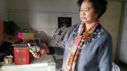 不知哪里来的大闸蟹