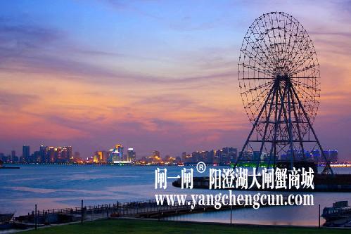 金鸡湖夜景