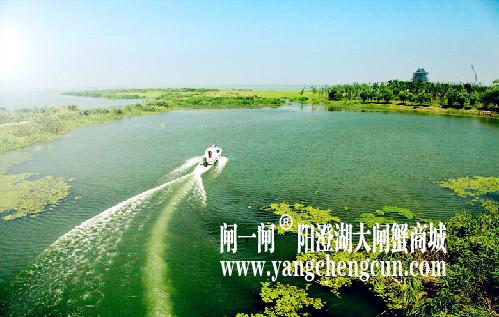 阳澄湖半岛休闲旅游度假区，具有得天独厚的自然资源