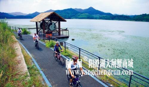 阳澄湖半岛拥有全长18公里的环湖观光休闲自行车道，是诸多骑行爱好者的胜地