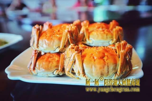 阳澄湖大闸蟹
