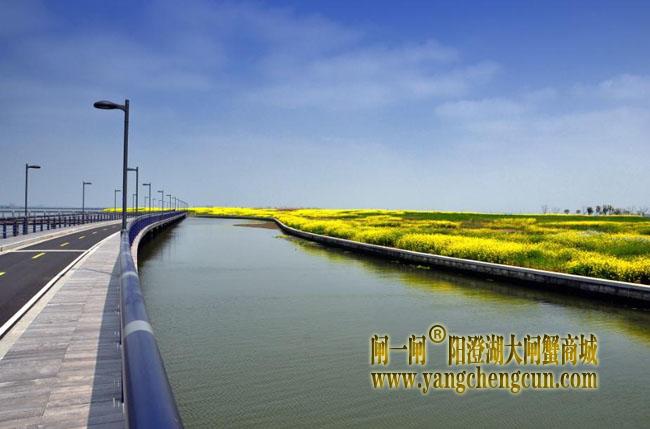 阳澄湖半岛