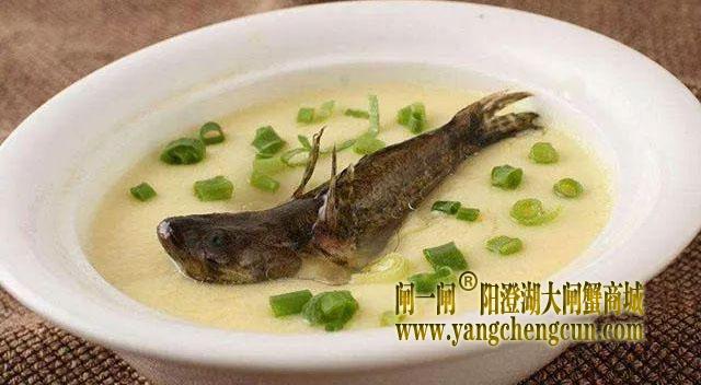 塘鳢鱼