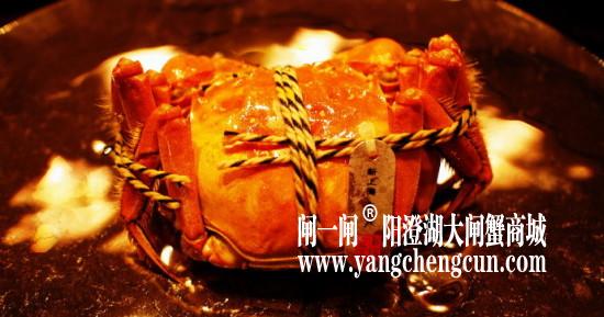 阳澄湖大闸蟹