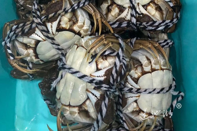 阳澄湖大闸蟹