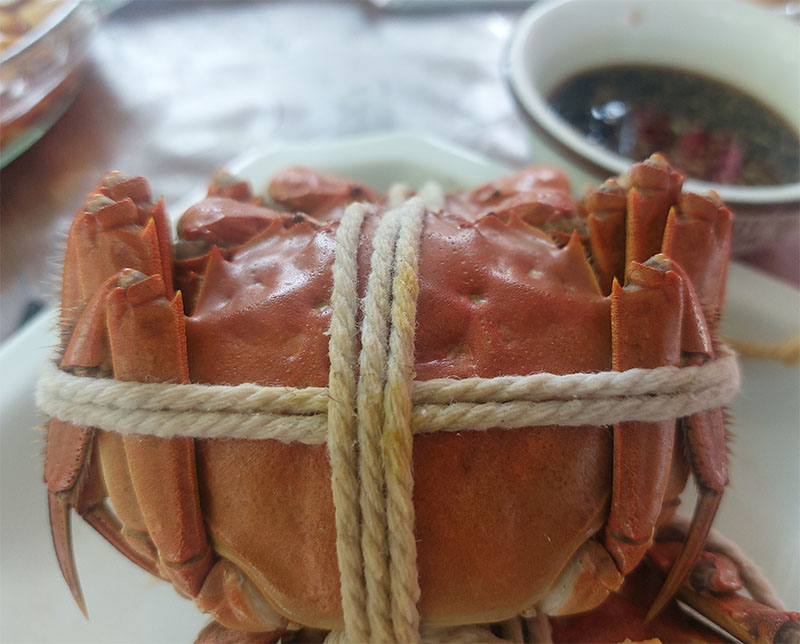 阳澄湖六月黄