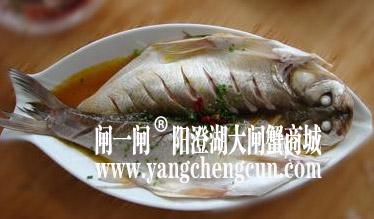 白鱼