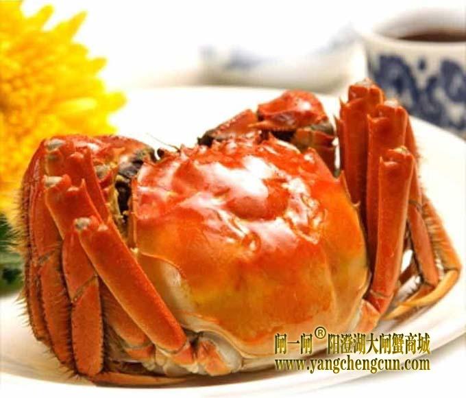 阳澄湖大闸蟹