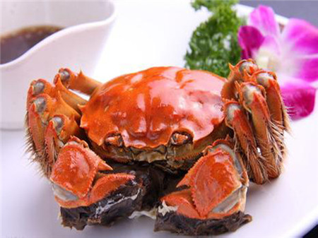 【食蟹】江苏十三市螃蟹美食大盘点