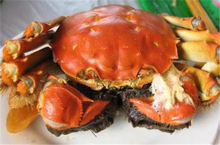 【食蟹】江苏十三市螃蟹美食大盘点