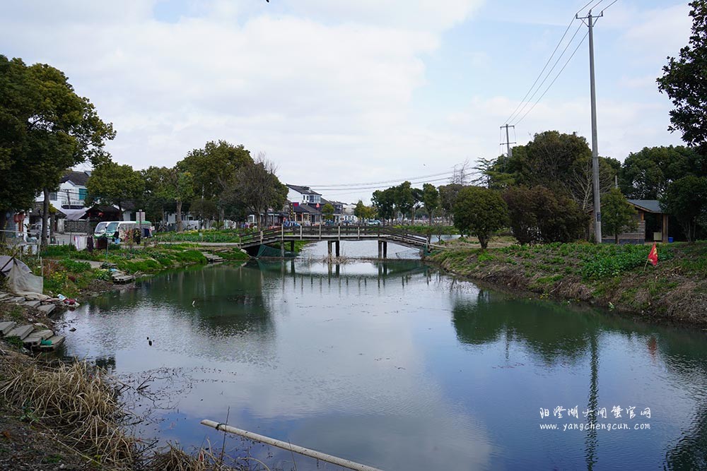 莲花岛上莲花村