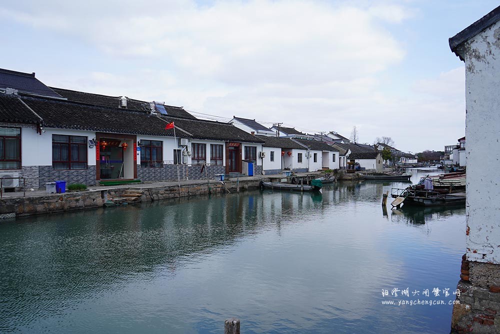 莲花岛上莲花村