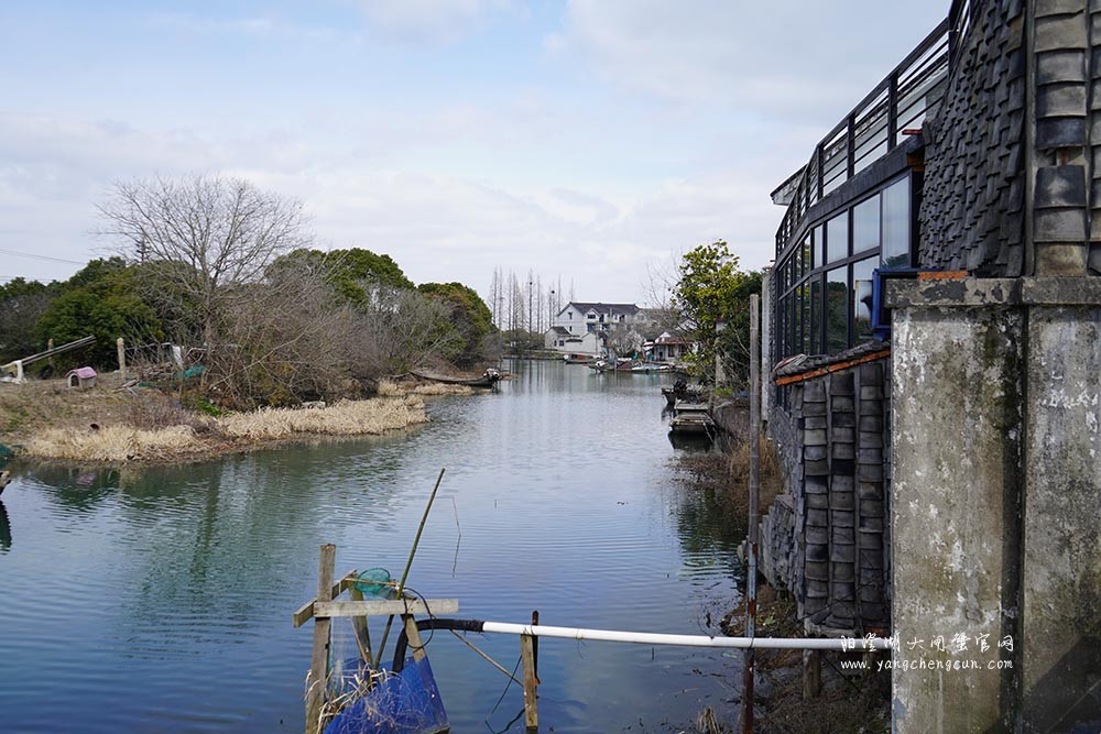 莲花岛上莲花村