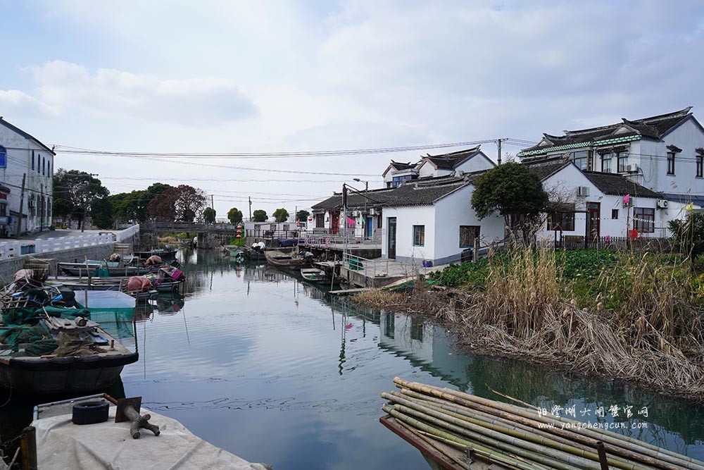 莲花岛上莲花村