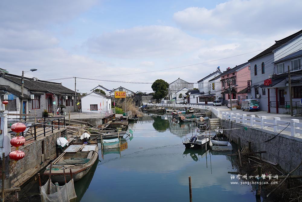 莲花岛上莲花村