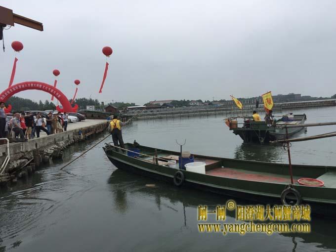 阳澄湖六月黄大闸蟹文化节