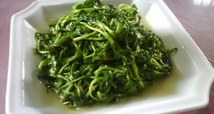 马兰头