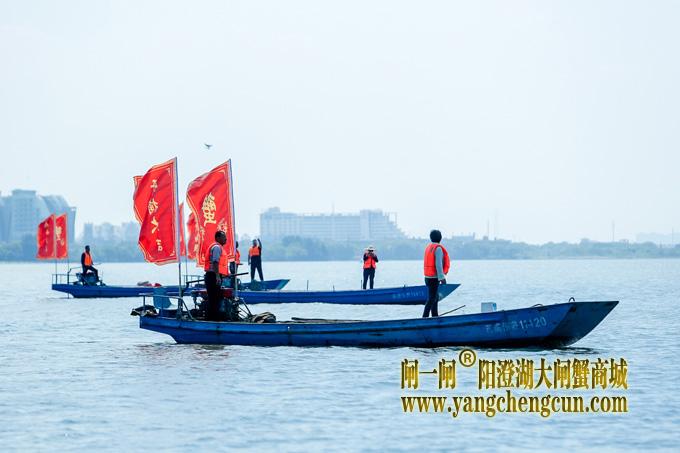 2019苏州阳澄湖大闸蟹开捕节