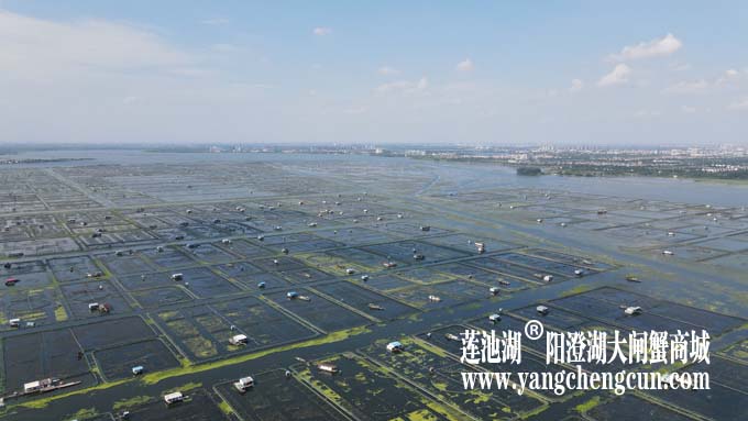 阳澄湖——上帝的视角
