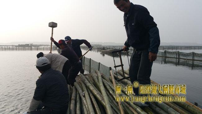 忙碌的蟹农--打桩 