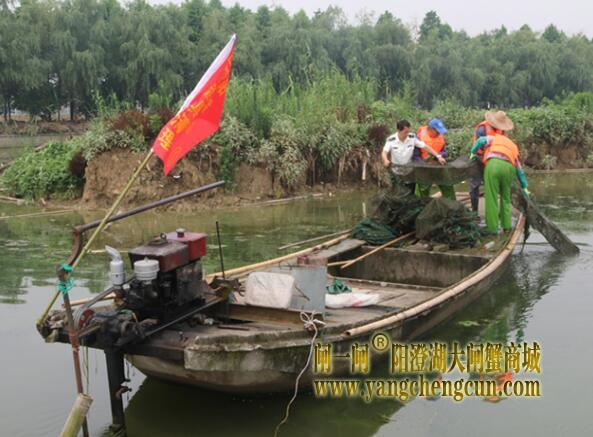 阳澄湖渔政监督部门开展违规渔具专项大整治 