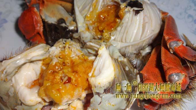 阳澄湖大闸蟹