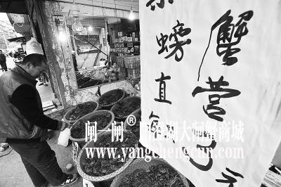 武汉市场螃蟹卖出“萝卜价” 3元一只！能吃吗？