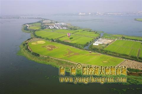空中俯瞰相城区阳澄湖莲花岛