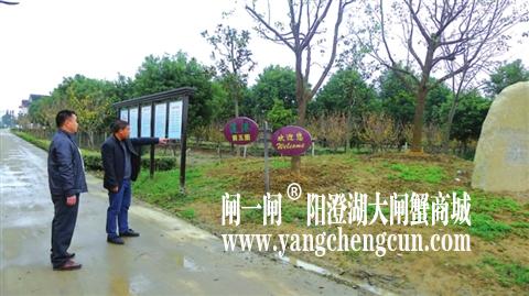 　莲港村书记主任实地察看康居村建设情况