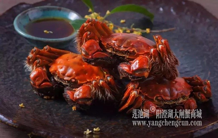 熟醉蟹