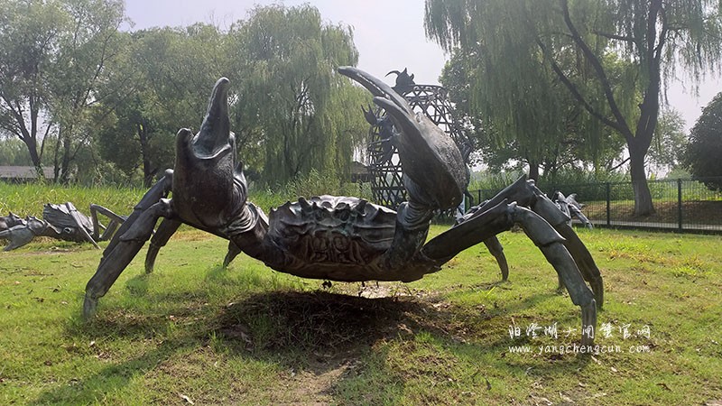 阳澄湖大闸蟹