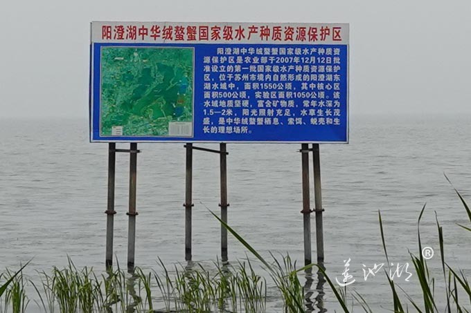 阳澄湖中华绒螯蟹国家级水产种质资源保护区